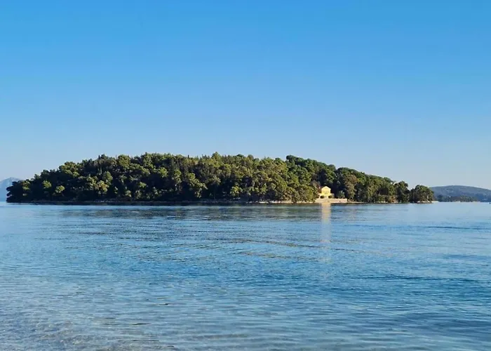 The House 2 奈德里